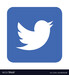 twitter-logo-icon-vector-22390239.jpg